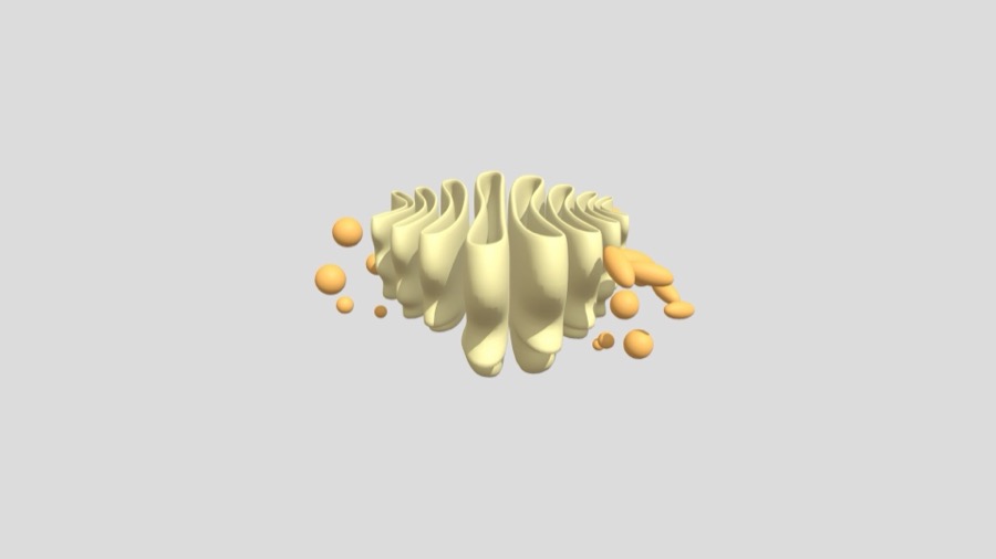 The Golgi apparatus: a stack of flattened membrane sacs, wider and rounded at the edges, with small vesicles budding off them